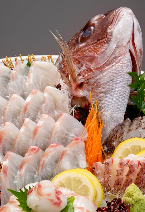 【旬彩割烹白珪】お食事一例・鯛刺し